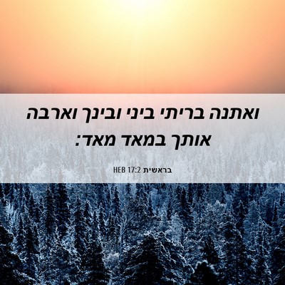 Picture 06 - בראשית 17:2 HEB - ואתנה בריתי ביני ובינך - Bible Verse Picture
