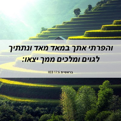 Picture 06 - בראשית 17:6 HEB - והפרתי אתך במאד מאד ונתתיך - Bible Verse Picture