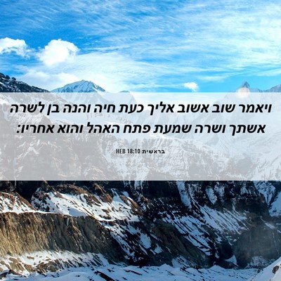 Picture 06 - בראשית 18:10 HEB - ויאמר שוב אשוב אליך כעת חיה - Bible Verse Picture