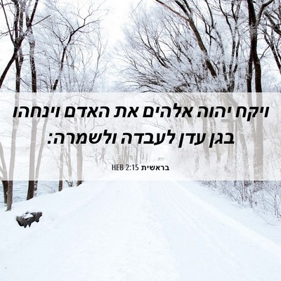 Picture 06 - בראשית 2:15 HEB - ויקח יהוה אלהים את האדם - Bible Verse Picture