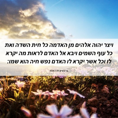 Picture 06 - בראשית 2:19 HEB - ויצר יהוה אלהים מן האדמה כל - Bible Verse Picture