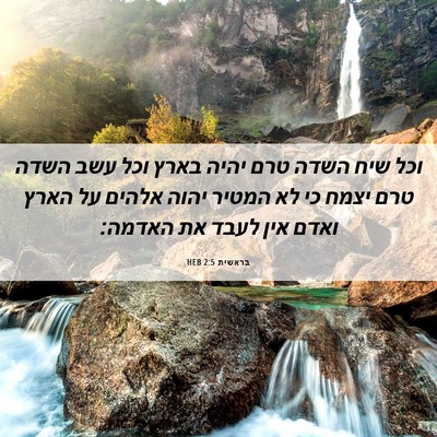 Picture 06 - בראשית 2:5 HEB - וכל שיח השדה טרם יהיה בארץ - Bible Verse Picture