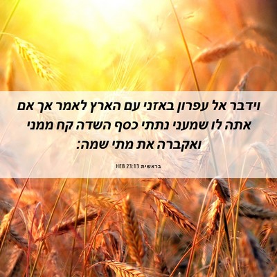 Picture 06 - בראשית 23:13 HEB - וידבר אל עפרון באזני עם - Bible Verse Picture