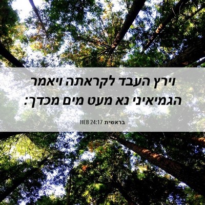 Picture 06 - בראשית 24:17 HEB - וירץ העבד לקראתה ויאמר - Bible Verse Picture