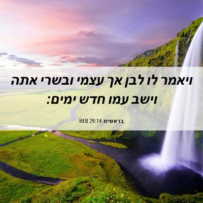 Picture 06 - בראשית 29:14 HEB - ויאמר לו לבן אך עצמי ובשרי - Bible Verse Picture