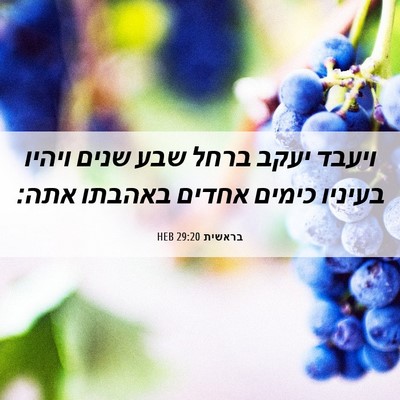Picture 06 - בראשית 29:20 HEB - ויעבד יעקב ברחל שבע שנים - Bible Verse Picture