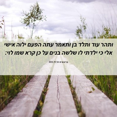 Picture 06 - בראשית 29:34 HEB - ותהר עוד ותלד בן ותאמר עתה - Bible Verse Picture
