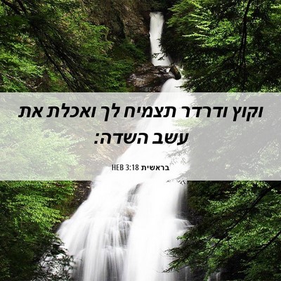 Picture 06 - בראשית 3:18 HEB - וקוץ ודרדר תצמיח לך ואכלת - Bible Verse Picture