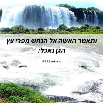 Picture 06 - בראשית 3:2 HEB - ותאמר האשה אל הנחש מפרי עץ - Bible Verse Picture