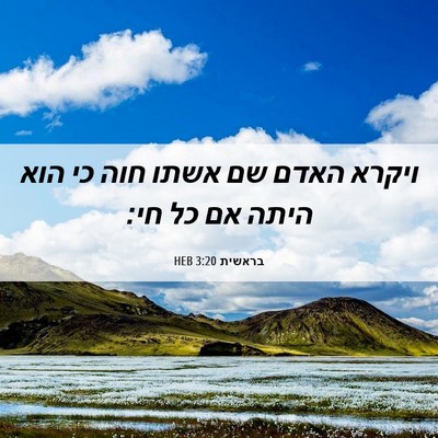 Picture 06 - בראשית 3:20 HEB - ויקרא האדם שם אשתו חוה כי - Bible Verse Picture
