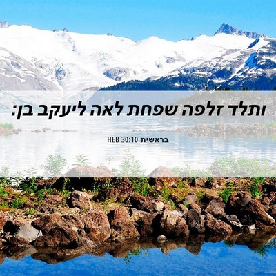 Picture 06 - בראשית 30:10 HEB - ותלד זלפה שפחת לאה ליעקב - Bible Verse Picture