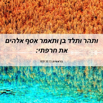 Picture 06 - בראשית 30:23 HEB - ותהר ותלד בן ותאמר אסף - Bible Verse Picture