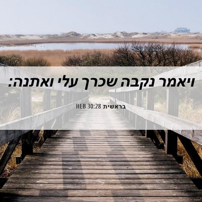 Picture 06 - בראשית 30:28 HEB - ויאמר נקבה שכרך עלי - Bible Verse Picture
