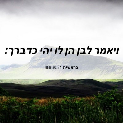 Picture 06 - בראשית 30:34 HEB - ויאמר לבן הן לו יהי - Bible Verse Picture