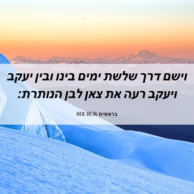 Picture 06 - בראשית 30:36 HEB - וישם דרך שלשת ימים בינו - Bible Verse Picture