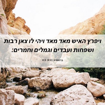 Picture 06 - בראשית 30:43 HEB - ויפרץ האיש מאד מאד ויהי לו - Bible Verse Picture