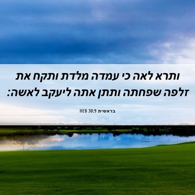 Picture 06 - בראשית 30:9 HEB - ותרא לאה כי עמדה מלדת ותקח - Bible Verse Picture