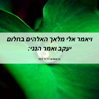 Picture 06 - בראשית 31:11 HEB - ויאמר אלי מלאך האלהים - Bible Verse Picture