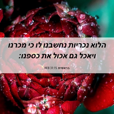 Picture 06 - בראשית 31:15 HEB - הלוא נכריות נחשבנו לו כי - Bible Verse Picture