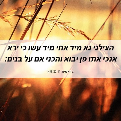 Picture 06 - בראשית 32:11 HEB - הצילני נא מיד אחי מיד עשו - Bible Verse Picture