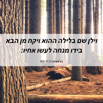 Picture 06 - בראשית 32:13 HEB - וילן שם בלילה ההוא ויקח מן - Bible Verse Picture