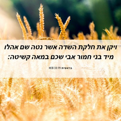 Picture 06 - בראשית 33:19 HEB - ויקן את חלקת השדה אשר נטה - Bible Verse Picture