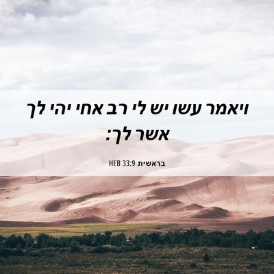 Picture 06 - בראשית 33:9 HEB - ויאמר עשו יש לי רב אחי יהי - Bible Verse Picture