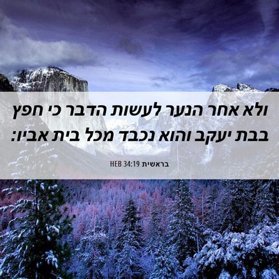 Picture 06 - בראשית 34:19 HEB - ולא אחר הנער לעשות הדבר כי - Bible Verse Picture