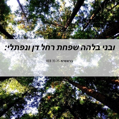 Picture 06 - בראשית 35:25 HEB - ובני בלהה שפחת רחל דן - Bible Verse Picture
