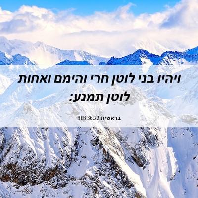 Picture 06 - בראשית 36:22 HEB - ויהיו בני לוטן חרי והימם - Bible Verse Picture
