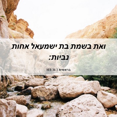 Picture 06 - בראשית 36:3 HEB - ואת בשמת בת ישמעאל אחות - Bible Verse Picture