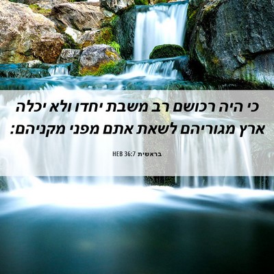 Picture 06 - בראשית 36:7 HEB - כי היה רכושם רב משבת יחדו - Bible Verse Picture