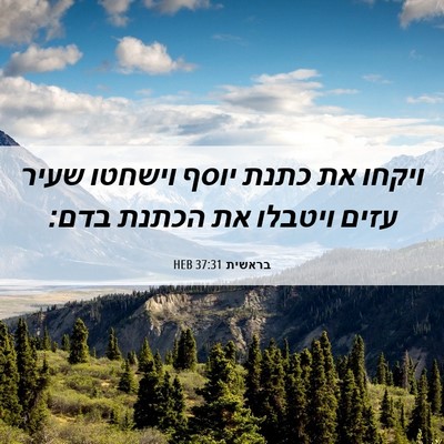 Picture 06 - בראשית 37:31 HEB - ויקחו את כתנת יוסף וישחטו - Bible Verse Picture