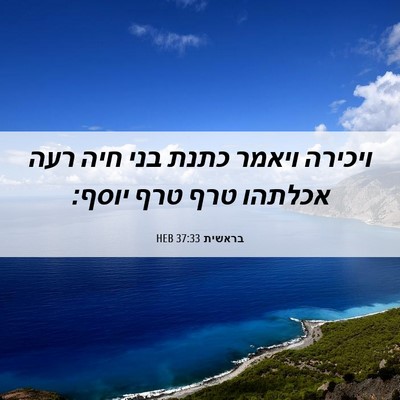 Picture 06 - בראשית 37:33 HEB - ויכירה ויאמר כתנת בני חיה - Bible Verse Picture