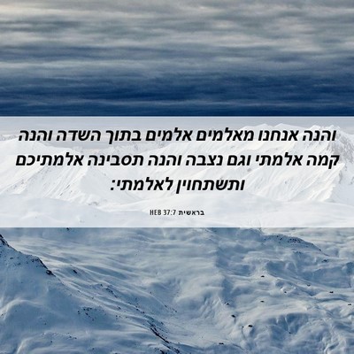 Picture 06 - בראשית 37:7 HEB - והנה אנחנו מאלמים אלמים - Bible Verse Picture