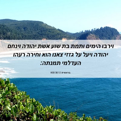 Picture 06 - בראשית 38:12 HEB - וירבו הימים ותמת בת שוע אשת - Bible Verse Picture