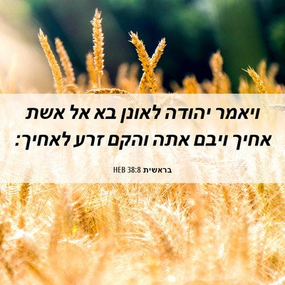 Picture 06 - בראשית 38:8 HEB - ויאמר יהודה לאונן בא אל אשת - Bible Verse Picture