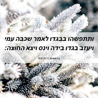 Picture 06 - בראשית 39:12 HEB - ותתפשהו בבגדו לאמר שכבה - Bible Verse Picture