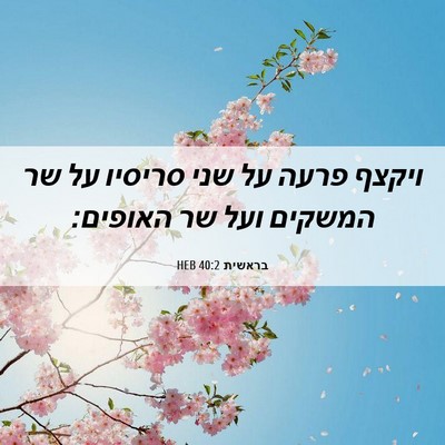 Picture 06 - בראשית 40:2 HEB - ויקצף פרעה על שני סריסיו על - Bible Verse Picture