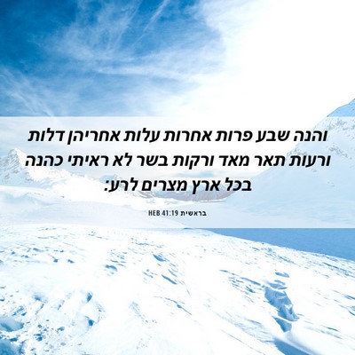 Picture 06 - בראשית 41:19 HEB - והנה שבע פרות אחרות עלות - Bible Verse Picture