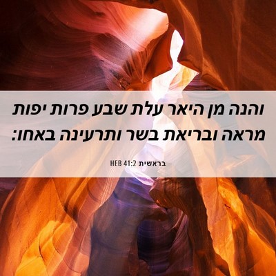 Picture 06 - בראשית 41:2 HEB - והנה מן היאר עלת שבע פרות - Bible Verse Picture