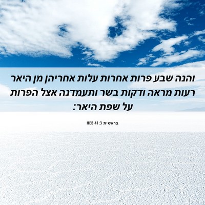 Picture 06 - בראשית 41:3 HEB - והנה שבע פרות אחרות עלות - Bible Verse Picture