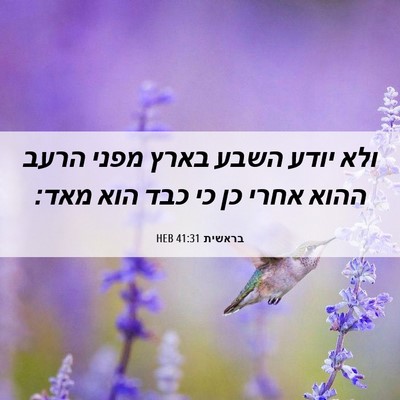 Picture 06 - בראשית 41:31 HEB - ולא יודע השבע בארץ מפני - Bible Verse Picture