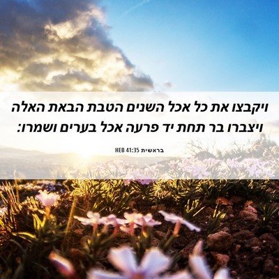 Picture 06 - בראשית 41:35 HEB - ויקבצו את כל אכל השנים הטבת - Bible Verse Picture