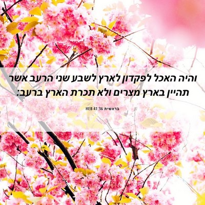 Picture 06 - בראשית 41:36 HEB - והיה האכל לפקדון לארץ לשבע - Bible Verse Picture
