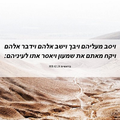 Picture 06 - בראשית 42:24 HEB - ויסב מעליהם ויבך וישב אלהם - Bible Verse Picture