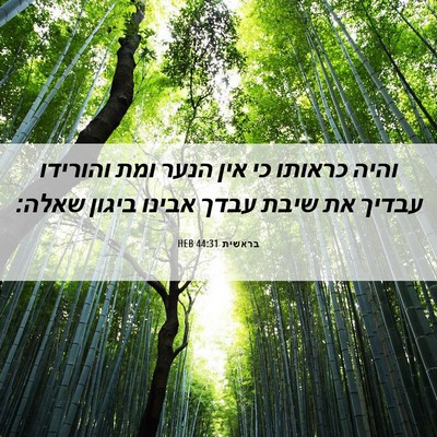 Picture 06 - בראשית 44:31 HEB - והיה כראותו כי אין הנער ומת - Bible Verse Picture