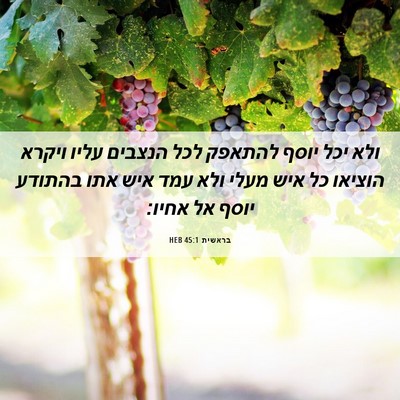 Picture 06 - בראשית 45:1 HEB - ולא יכל יוסף להתאפק לכל - Bible Verse Picture