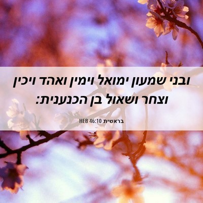 Picture 06 - בראשית 46:10 HEB - ובני שמעון ימואל וימין - Bible Verse Picture