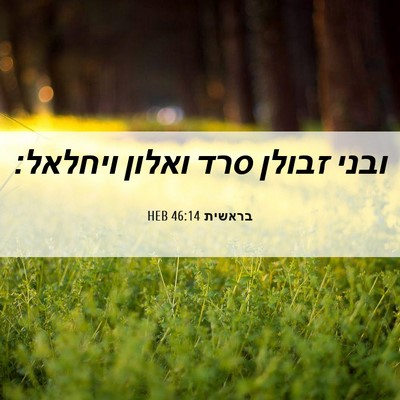 Picture 06 - בראשית 46:14 HEB - ובני זבולן סרד ואלון - Bible Verse Picture